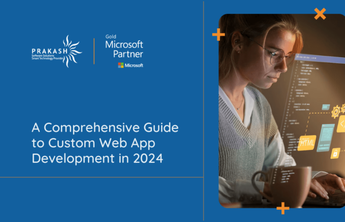 custom web app development