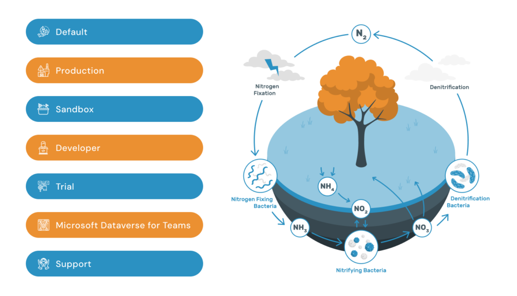 power platform consultant