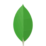 MongoDB  